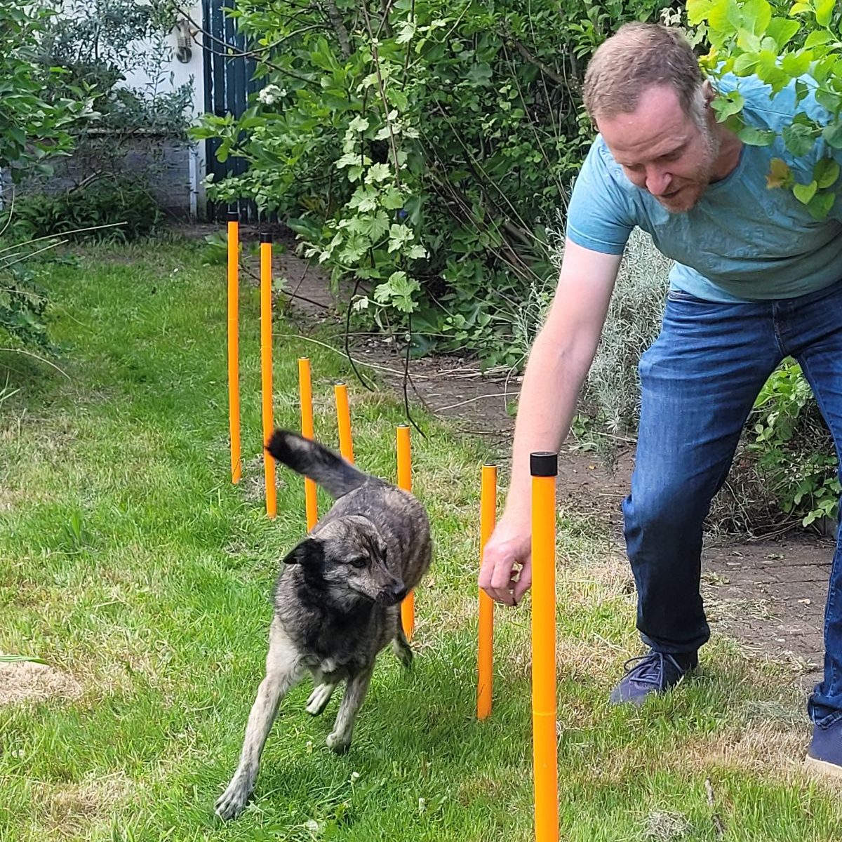 Vertrauensaufbau- und Mut-Training Vertrauensaufbau- und Mut-Training